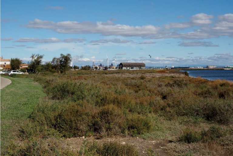 Observatoire photographique du paysage tronçon littoral LITT’OPP – Vendredi 7 mars 2025